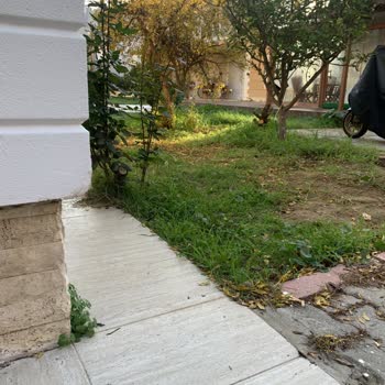 9 Aydır Bekleyen Doğalgaz Kutusu İçin Çözüm Ve Açıklama Talebi