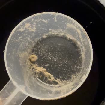 Protein Tozunda Kurt Ve Ağ Çıktı Sağlığım Tehlikeye Girdi