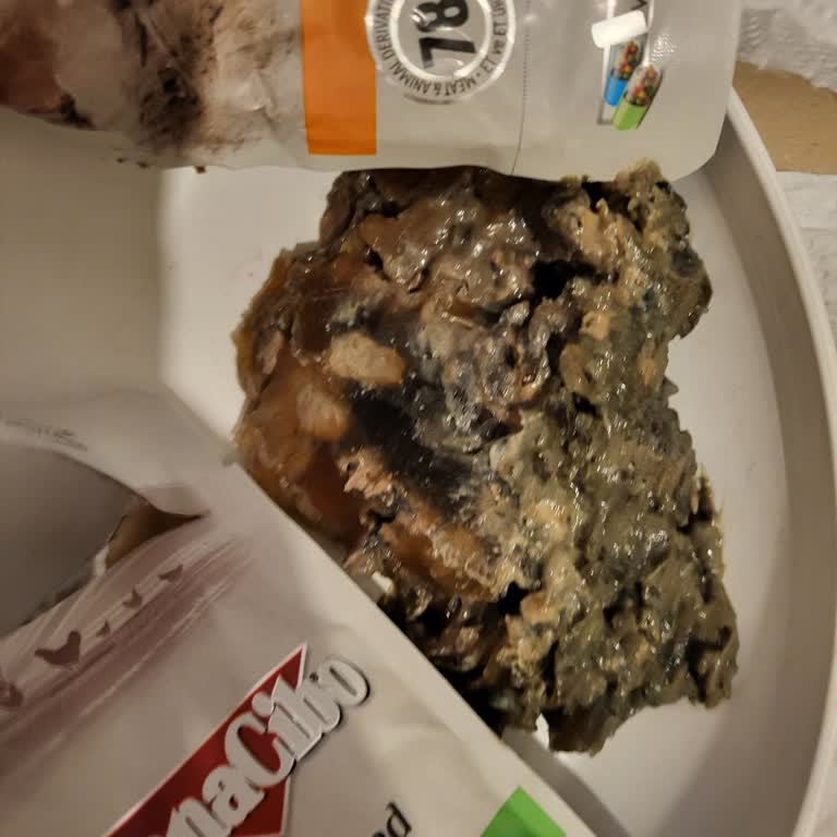 Bozuk Kedi Maması Ve Belirsiz Açıklamalar Müşteri Güvenimi Sarstı