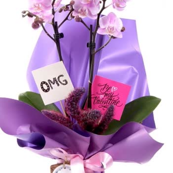 Görselden Farklı, Eksik Ve Kalitesiz Ürün Teslimatı: Müşteri Hizmetlerine Ulaşılamıyor