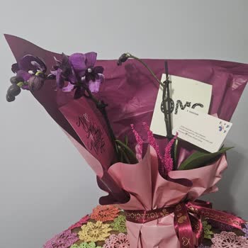 Görselden Farklı, Eksik Ve Kalitesiz Ürün Teslimatı: Müşteri Hizmetlerine Ulaşılamıyor