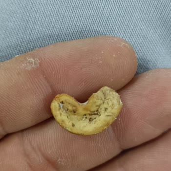 Bozuk Ve Kurtlu Ürünler Teslim Edildi, Firma Dönüş Yapmıyor