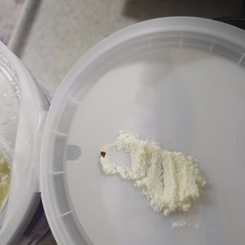 Evolvia 3 Numara Mama Kutusunda Yabancı Madde Çıkması Ve Müşteri Hizmetlerinin İlgisizliği