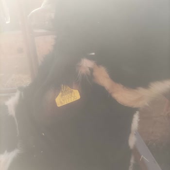 TARSİM Hasar Dosyamızın Haksız Reddi Ve Sigorta Bedelimizin Ödenmemesi Hakkında İtirazımız!