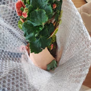 Eksik Ve Hasarlı Ürün Teslimatı Nedeniyle Hayal Kırıklığı