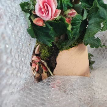 Eksik Ve Hasarlı Ürün Teslimatı Nedeniyle Hayal Kırıklığı