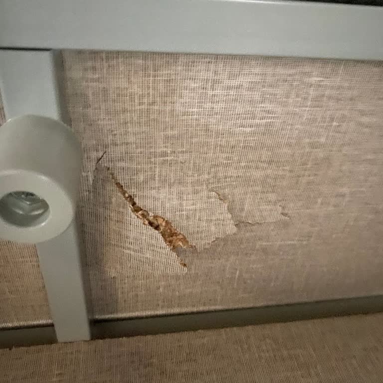 Yataş'tan Alınan Bazanın Kırık Gelmesi Ve Uzun Bekleme Süreci Mağduriyeti