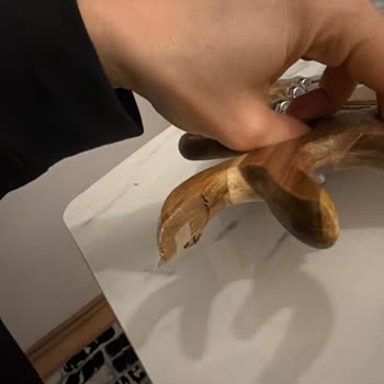 Kısa Sürede Renk Atan Bambu Sunumluk Ve İlgisiz Mağaza Yaklaşımı