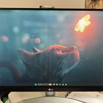 Garanti Süresi Az Farkla Geçti, Monitör Arızasıyla Mağdur Oldum