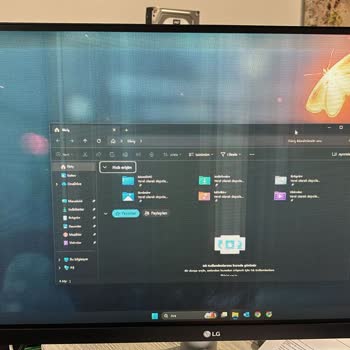Garanti Süresi Az Farkla Geçti, Monitör Arızasıyla Mağdur Oldum