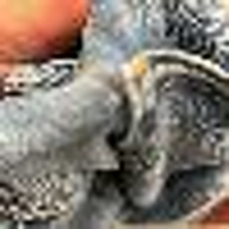 GAP Mağazasından Aldığım Jean Pantolonda Kumaş Hatası Ve İade Talebime Olumsuz Yaklaşım