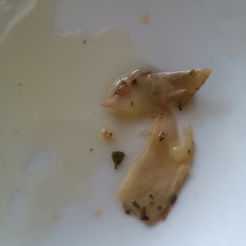 Aldığım Üründen Kurt Çıkması Güvenimi Sarstı