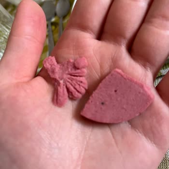 Pınar Doyum Salamda Siyah Lekeler Ve Sağlık Endişesi