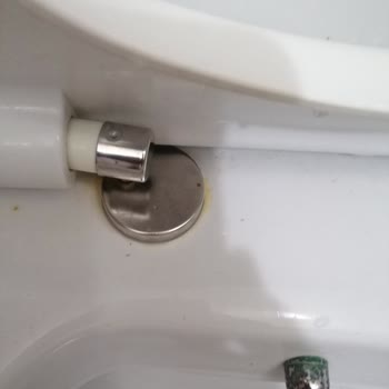 Vitra Selena Klozet Kapağına 5 Aydır Ulaşamıyorum, Çözüm Bekliyorum