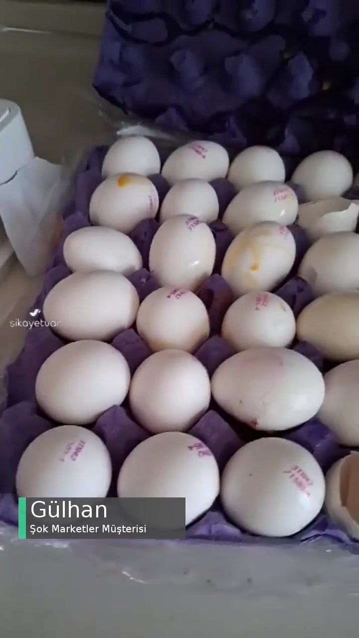 Şok Marketler Yumurtaların Yenisini İstiyoruz! videonun kapak resmi