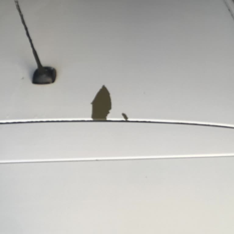 Opel Astra K Tavan Boyasında Kendiliğinden Atma Ve Ücretsiz Onarım Talebi