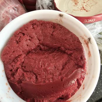 Öncü Salça Küflenmesi