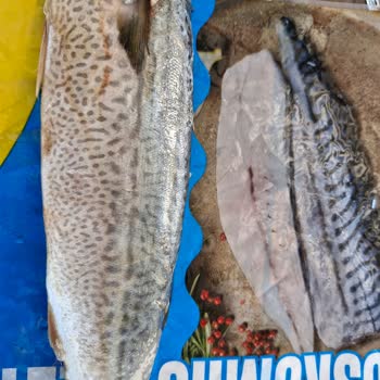 BİM Yanıltıcı Ambalaj Ve Kalitesiz Ürün Nedeniyle Ücret İadesi Talebim