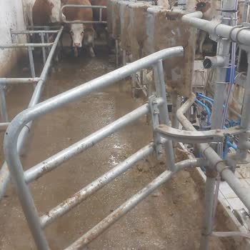 Intermilk Asya Farm Garanti Sorunu