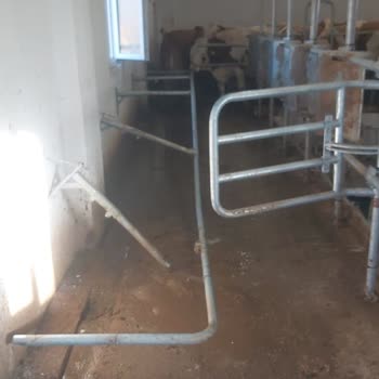 Intermilk Asya Farm Garanti Sorunu