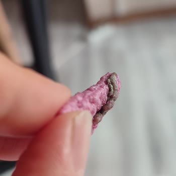 Market Ürününde Tırtıl Şoku: Sağlığımız Tehlikede!