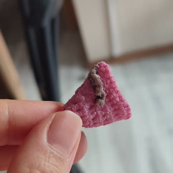 Market Ürününde Tırtıl Şoku: Sağlığımız Tehlikede!