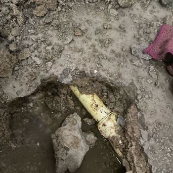 Axa Sigorta Ve Ekspertiz Sürecinde Yaşadığım Mağduriyet