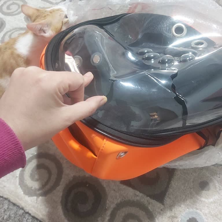 Kırık Teslim Edilen Kargo Ve Şubedeki Kaba Tavır Mağduriyetimi Artırdı