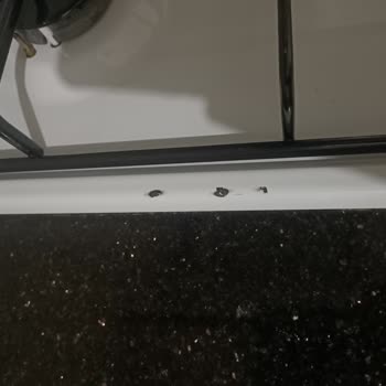 Arçelik Ankastre Ocakta Garanti Kapsamındaki Boya Dökülmesi Mağduriyeti