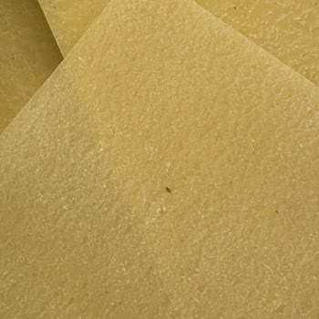 Son Kullanma Tarihi Geçmemiş Lazanyada Böcek Şoku