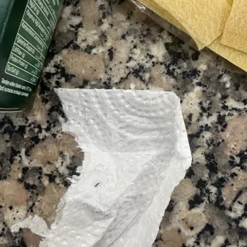 Son Kullanma Tarihi Geçmemiş Lazanyada Böcek Şoku