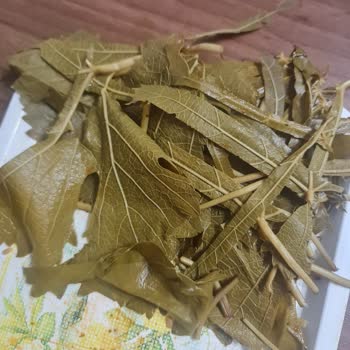 Aldığım Salamura Yapraklar Sert Ve Kart Çıktı, Sarma Yapılamıyor