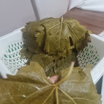 Aldığım Salamura Yapraklar Sert Ve Kart Çıktı, Sarma Yapılamıyor