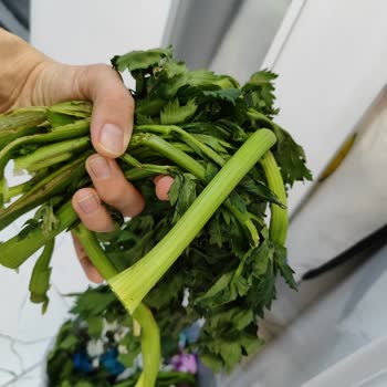 Online Siparişte Beklentiyi Karşılamayan Kereviz Teslimatı Ve Ücret İadesi Talebi