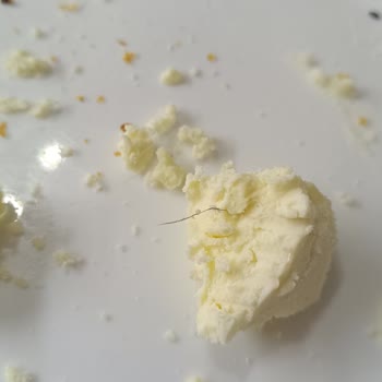 Kaya Çiftliği Peynirlerinde Tekrarlayan Hijyen Sorunu Güvenimi Sarstı