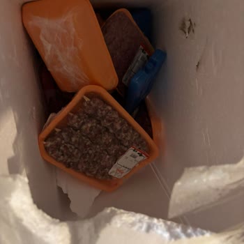 Hasarlı Ve Eksik Teslim Edilen Kargo Sonrası Çalışan Tarafından Suçlanmak