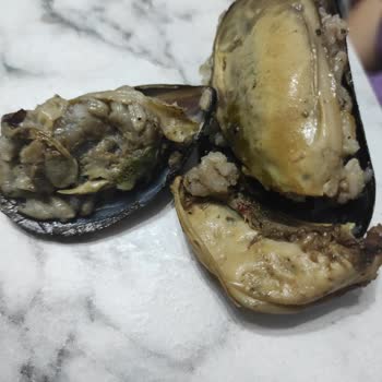 Migros'tan Satın Aldığım Midyeler Hijyenik Değildi Ve Kötü Kokuyordu