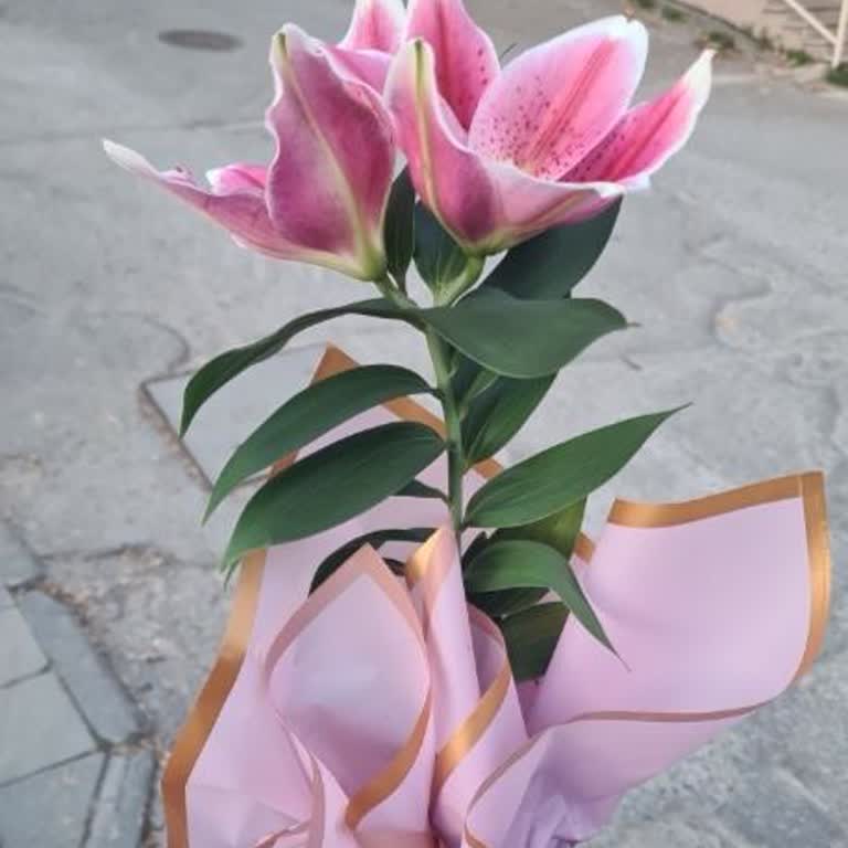 Eksik Ve Yanlış Ürün Teslimatı Güvenimi Sarsıyor