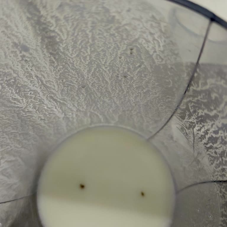 Dost Yoğurttan Çıkan Böcekler