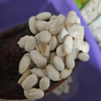 Bozuk Kuru Fasulye Satışı: Hem Kalite Hem Sağlık Riski!