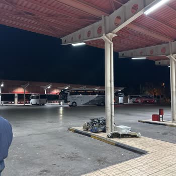 Siirt Petrol Otobüs Gecikmesi Sınavıma Geç Kalma Riskim Ve Mağduriyetim