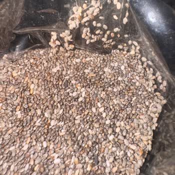 Happy Life Chia Tohumu Kurtlanmış Çıktı: Üretim Ve Saklama Koşulları Hakkında Endişe