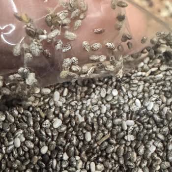 Happy Life Chia Tohumu Kurtlanmış Çıktı: Üretim Ve Saklama Koşulları Hakkında Endişe