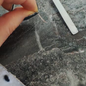 Vanet Piliç Salamda Tavuk Tüyü Çıkması Ve Hijyen Endişesi