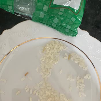 Harras Son Kullanma Tarihi Geçmemiş Pirinçten Solucan Çıkması Güvenimi Zedeledi