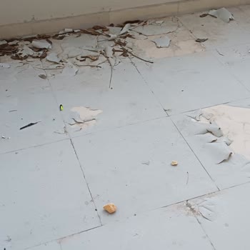 Koçtaş'tan Aldığım Zemin Boyası Kısa Sürede Soyuldu, Ücret İadesi Talebim Reddedildi