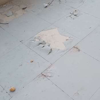 Koçtaş'tan Aldığım Zemin Boyası Kısa Sürede Soyuldu, Ücret İadesi Talebim Reddedildi