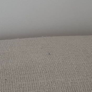 Kelebek Mobilya Çalına Koltuk Takımında Sürekli Tüylenme Ve Yetersiz Çözüm