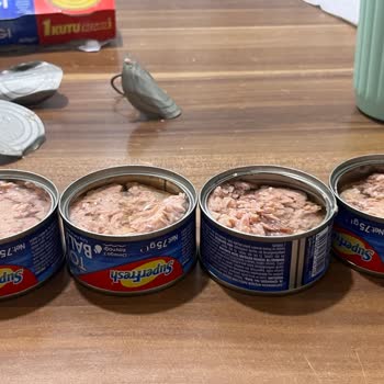 Superfresh Ton Balığında Kötü Koku Ve Bozukluk Sağlığımı Riske Attı