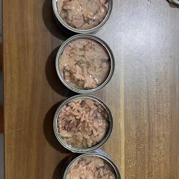 Superfresh Ton Balığında Kötü Koku Ve Bozukluk Sağlığımı Riske Attı